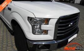 запчастини  FORD F-150 XIII (P552) фото 8