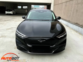 запчасти  FORD Mustang Mach-E фото 9