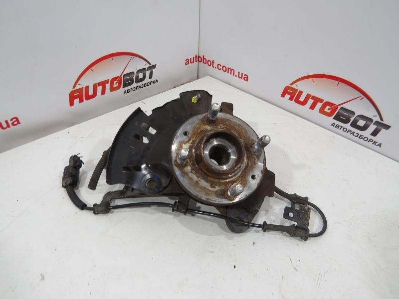 Заказать на HYUNDAI i20 I (PB, PBT) Цапфа передняя