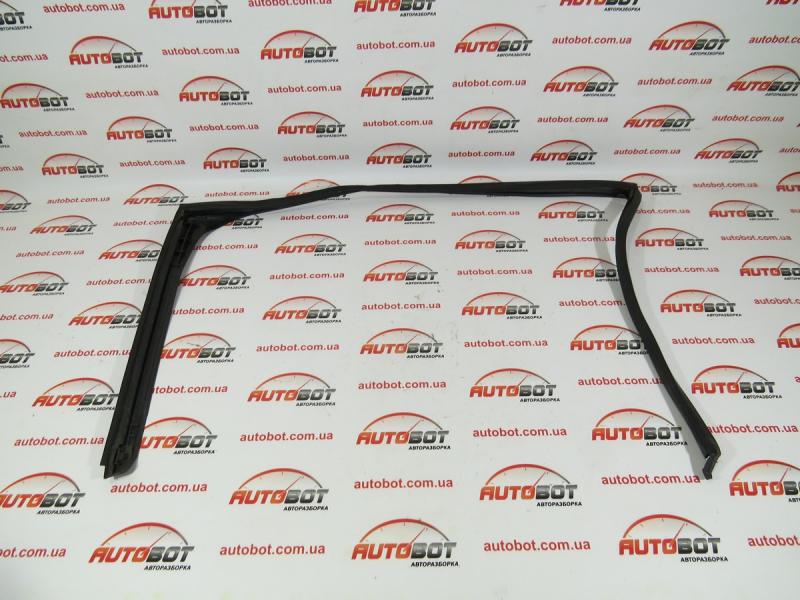 VOLVO V70 III (BW) Ущільнювач скла дверки задньої правої (31218271) Замовити для VOLVO V70 III (BW) Ущільнювач скла дверки задньої правої