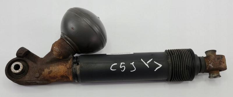 Замовити для CITROEN C5 II X7 (RD, TD) Амортизатор задній лівий